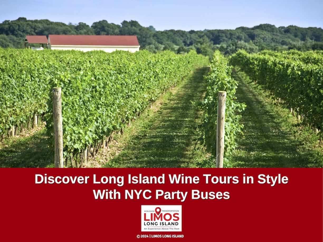 Scenic view of a vineyard, blog featured title details 'discover Long Island wine tours in style with NYC party buses'.