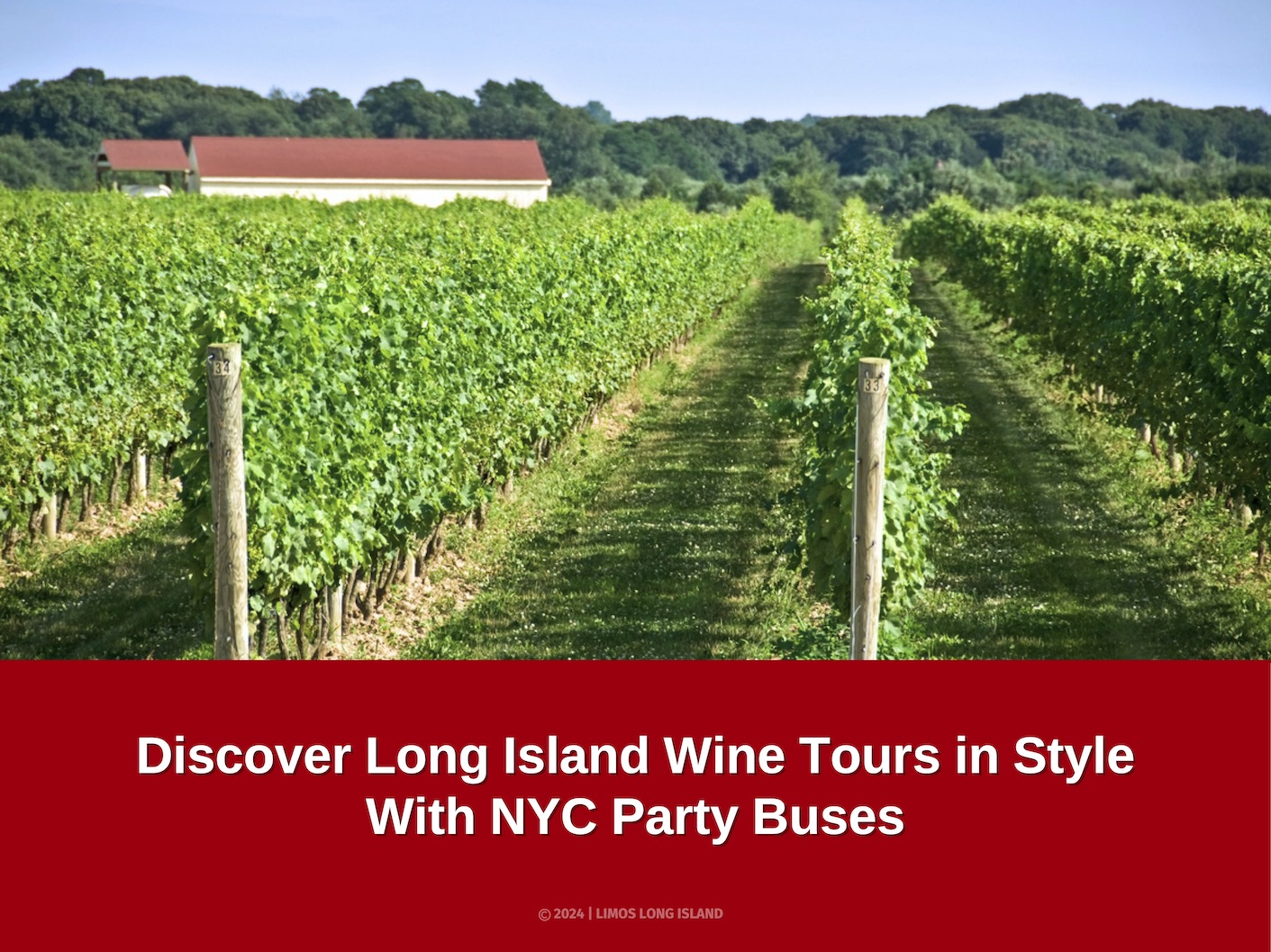 Discover Long Island Wine Tours in Style With NYC Party Buses